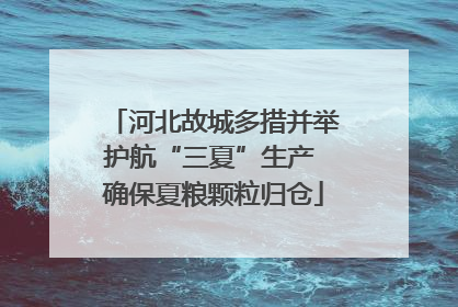 河北故城多措并举护航“三夏”生产 确保夏粮颗粒归仓