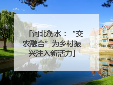 河北衡水：“交农融合”为乡村振兴注入新活力