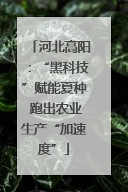 河北高阳：“黑科技”赋能夏种 跑出农业生产“加速度”