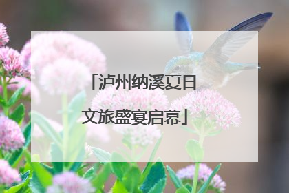 泸州纳溪夏日文旅盛宴启幕