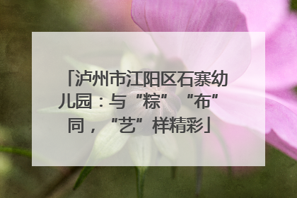 泸州市江阳区石寨幼儿园：与“粽”“布”同，“艺”样精彩