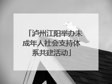 泸州江阳举办未成年人社会支持体系共建活动