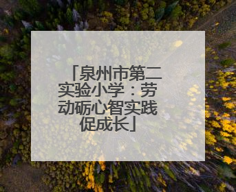 泉州市第二实验小学：劳动砺心智实践促成长
