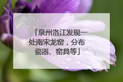 泉州洛江发现一处南宋龙窑，分布瓷器、窑具等