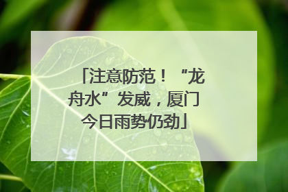 注意防范！“龙舟水”发威，厦门今日雨势仍劲