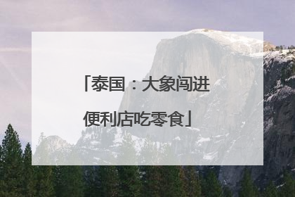 泰国：大象闯进便利店吃零食