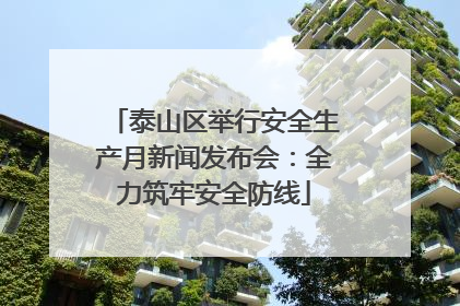 泰山区举行安全生产月新闻发布会：全力筑牢安全防线