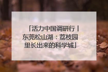 活力中国调研行丨东莞松山湖：荔枝园里长出来的科学城