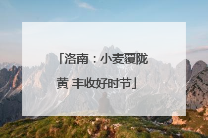 洛南：小麦覆陇黄 丰收好时节