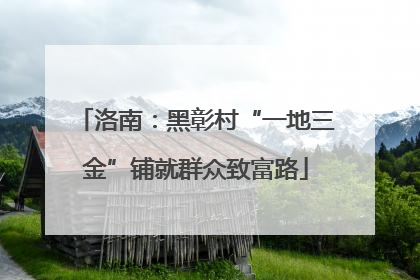 洛南：黑彰村“一地三金”铺就群众致富路