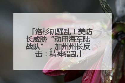 洛杉矶骚乱！美防长威胁“动用海军陆战队”，加州州长反击：精神错乱