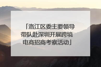 洛江区委主要领导带队赴深圳开展跨境电商招商考察活动