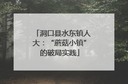 洞口县水东镇人大：“蘑菇小镇”的破局实践