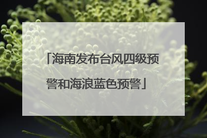 海南发布台风四级预警和海浪蓝色预警
