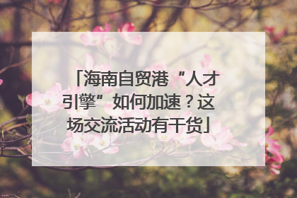 海南自贸港“人才引擎”如何加速？这场交流活动有干货