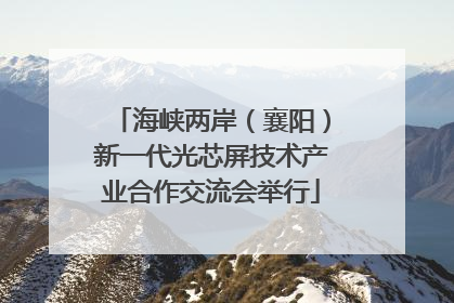 海峡两岸（襄阳）新一代光芯屏技术产业合作交流会举行