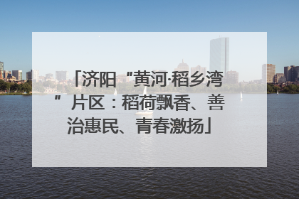 济阳“黄河·稻乡湾”片区：稻荷飘香、善治惠民、青春激扬