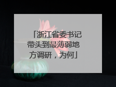 浙江省委书记带头到最薄弱地方调研，为何