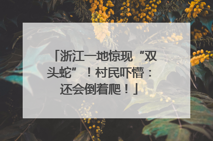 浙江一地惊现“双头蛇”！村民吓懵：还会倒着爬！