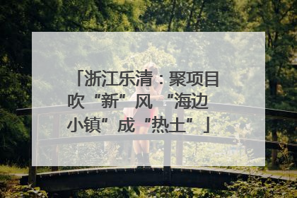 浙江乐清：聚项目吹“新”风 “海边小镇”成“热土”