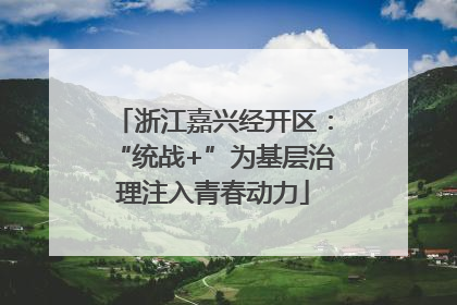 浙江嘉兴经开区：“统战+”为基层治理注入青春动力