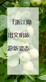 浙江拗出文明旅游新姿态