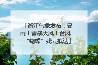 浙江气象发布：暴雨！雷暴大风！台风“蝴蝶”残云抵达