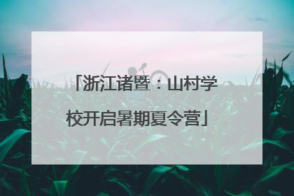 浙江诸暨：山村学校开启暑期夏令营