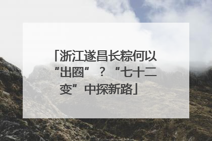 浙江遂昌长粽何以“出圈”？“七十二变”中探新路