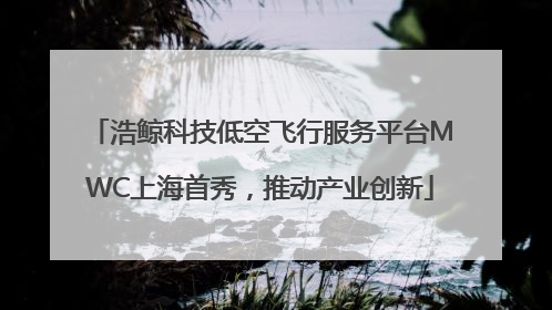 浩鲸科技低空飞行服务平台MWC上海首秀，推动产业创新