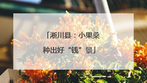 淅川县：小果桑种出好“钱”景