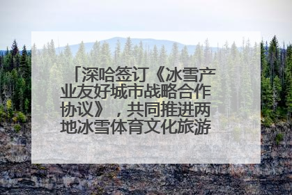 深哈签订《冰雪产业友好城市战略合作协议》，共同推进两地冰雪体育文化旅游高质量发展