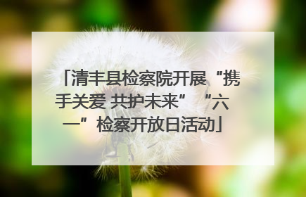 清丰县检察院开展“携手关爱 共护未来”“六一”检察开放日活动
