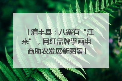 清丰县：八寨有“江来”，网红品牌擘画电商助农发展新图景