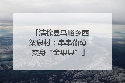 清徐县马峪乡西梁泉村：串串葡萄变身“金果果”