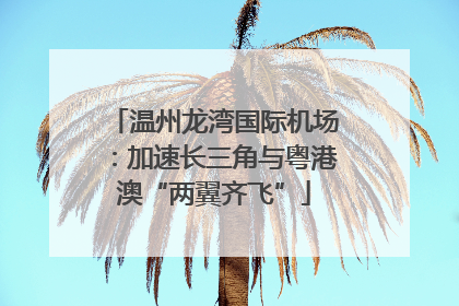 温州龙湾国际机场：加速长三角与粤港澳“两翼齐飞”