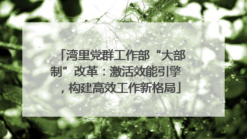 湾里党群工作部“大部制”改革：激活效能引擎，构建高效工作新格局