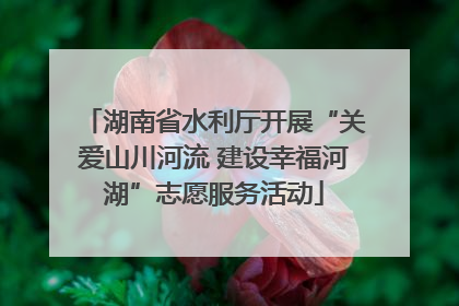 湖南省水利厅开展“关爱山川河流 建设幸福河湖”志愿服务活动