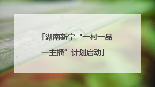 湖南新宁“一村一品一主播”计划启动