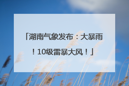 湖南气象发布：大暴雨！10级雷暴大风！