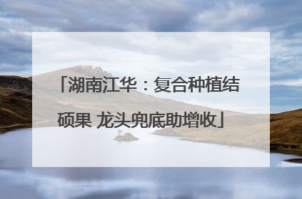 湖南江华：复合种植结硕果 龙头兜底助增收