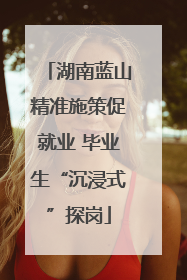 湖南蓝山精准施策促就业 毕业生“沉浸式”探岗