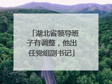 湖北省领导班子有调整，他出任党组副书记