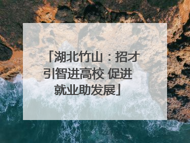 湖北竹山：招才引智进高校 促进就业助发展