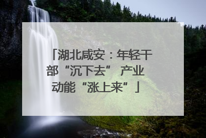 湖北咸安：年轻干部“沉下去” 产业动能“涨上来”