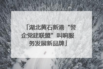 湖北黄石新港“警企党建联盟”叫响服务发展新品牌