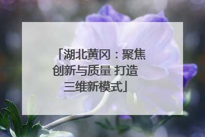 湖北黄冈：聚焦创新与质量 打造三维新模式