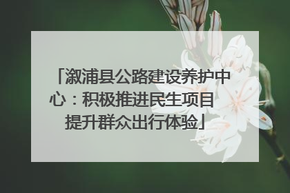 溆浦县公路建设养护中心：积极推进民生项目 提升群众出行体验