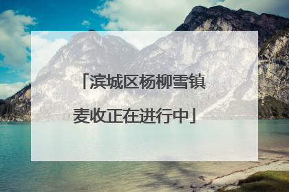 滨城区杨柳雪镇麦收正在进行中