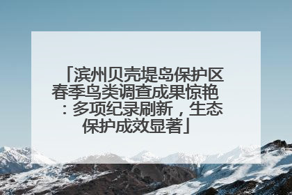 滨州贝壳堤岛保护区春季鸟类调查成果惊艳：多项纪录刷新，生态保护成效显著